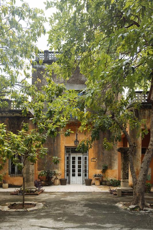 Fachada ocre de la casa con un árbol al frente