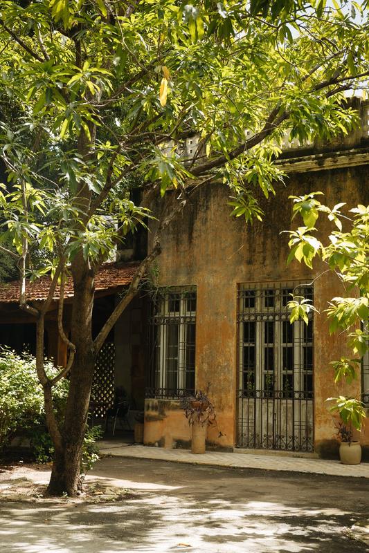 Fachada ocre con ventana y herrería bajo un árbol