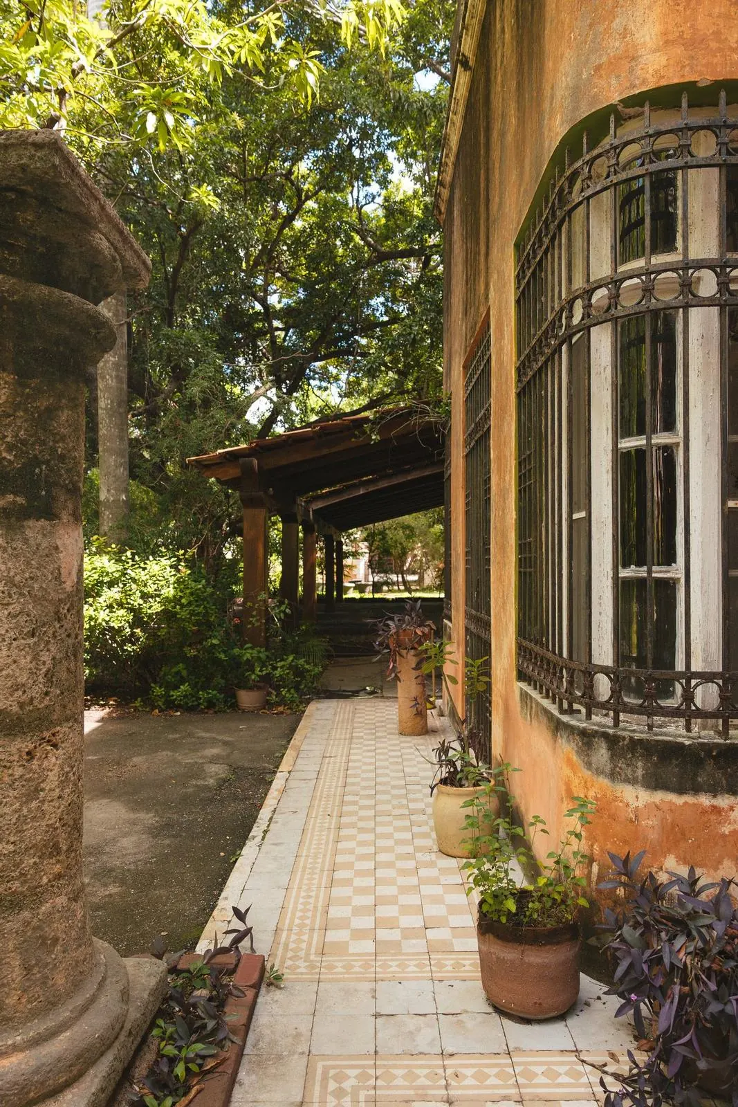 La terraza con la reja y las macetas