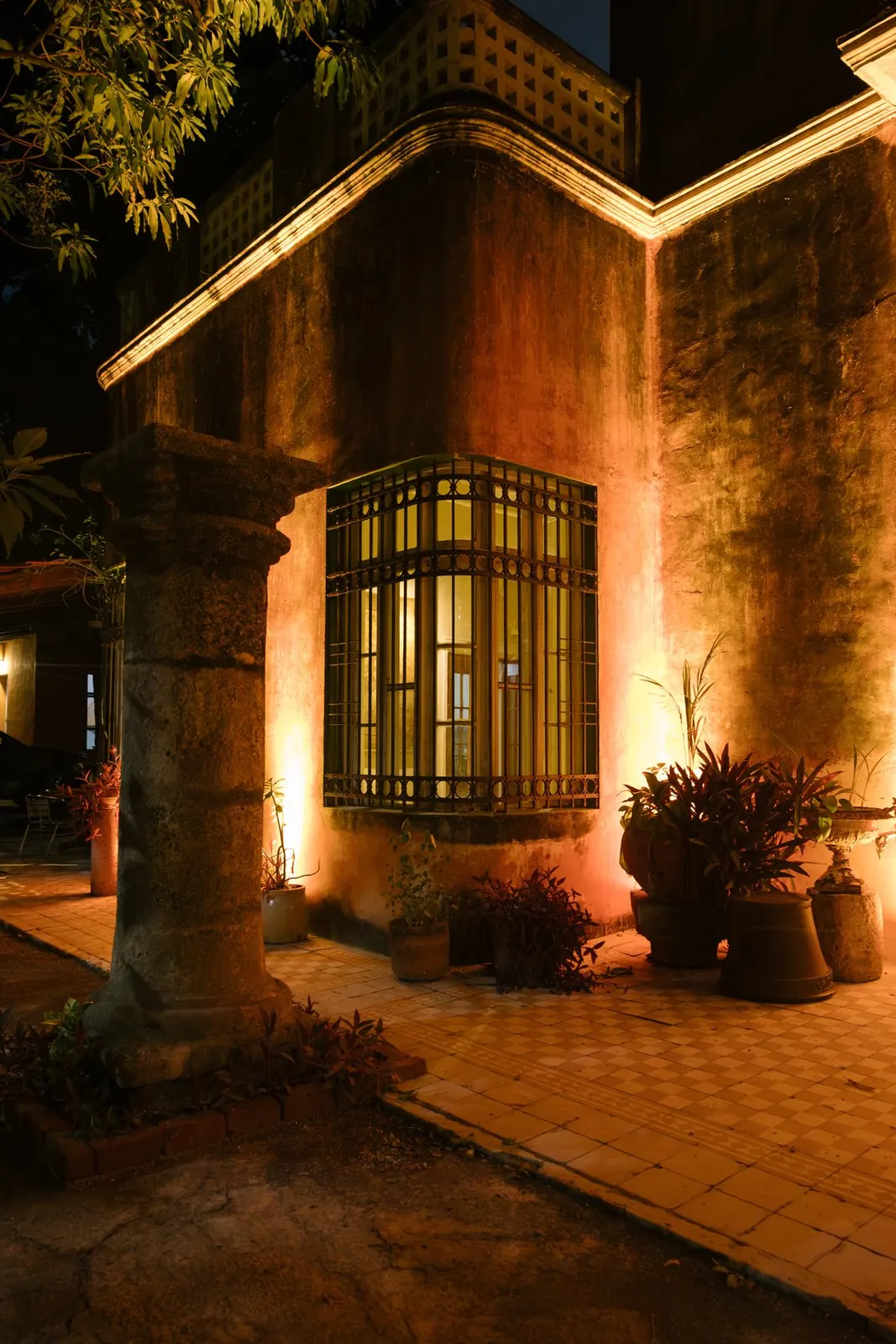 La fachada con la ventana bajo el árbol, de noche